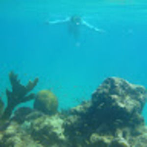 Meet your Posher, Lucinda